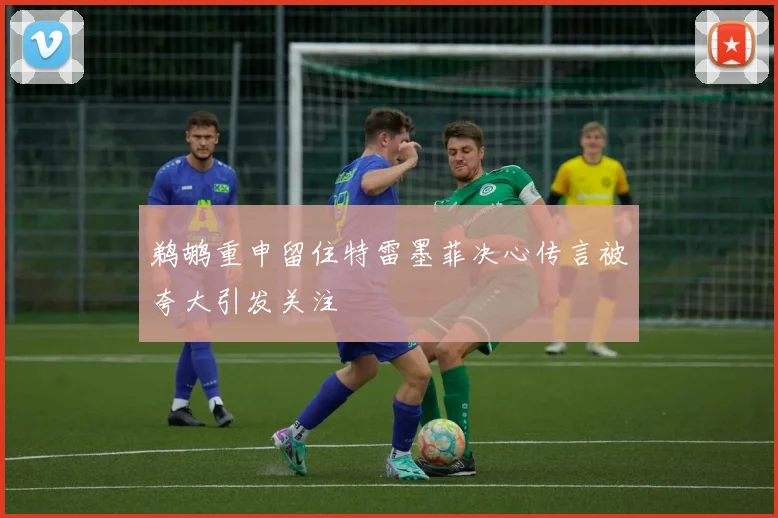 鹈鹕重申留住特雷墨菲决心传言被夸大引发关注